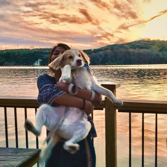 Meet your Posher, Nimi - Picture 1 of 1